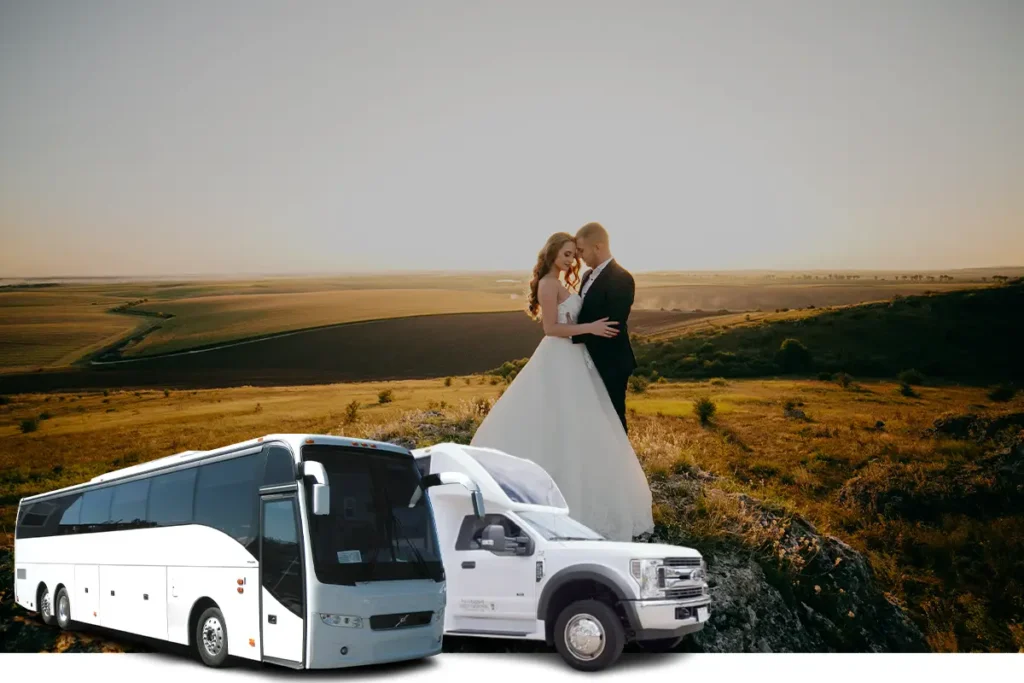Wedding Bus Transportation 1 Elegant Event Transportation You Can Trust