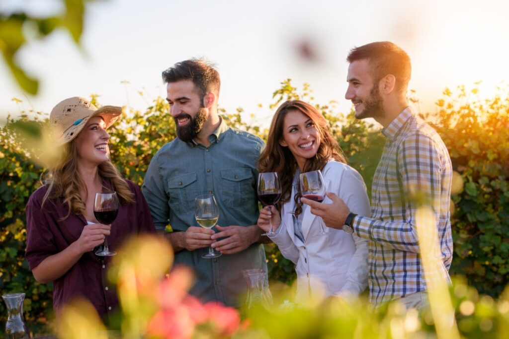 Mt View Art and Wine Festival
