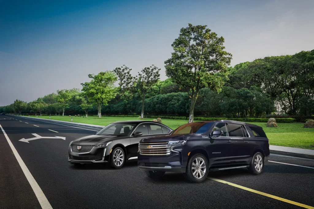 Black Car Service fleet