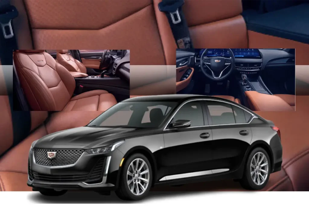 Fremont Limousine Service