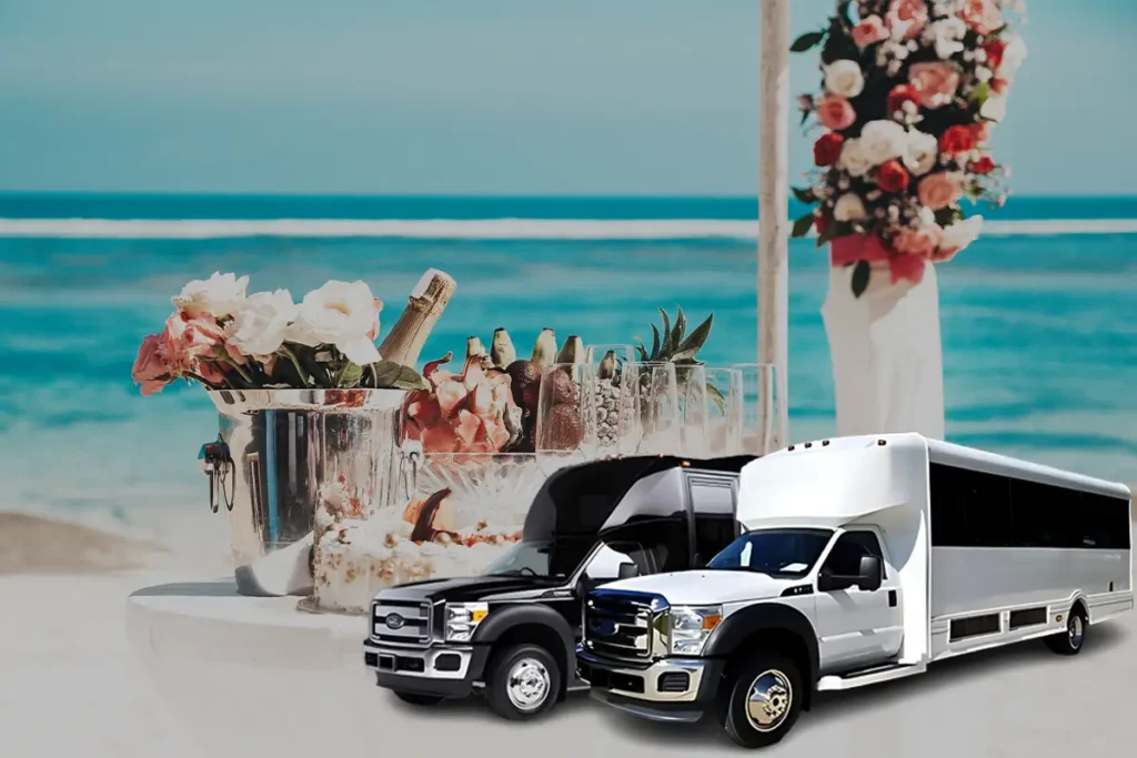 Birthday Party Bus 9 Perfect for Special Occasions in the Bay Area