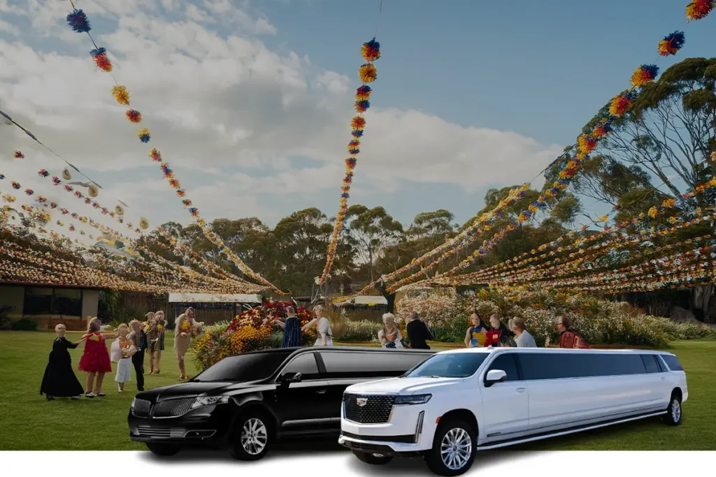Stretch Limousines for Special Events