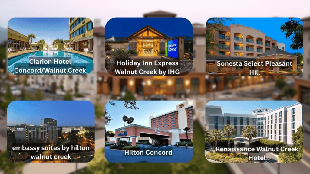 Visit Wences Pleasant Hill California | Top Hotels, Weather, and Travel Tips with Premium Pleasanton Limo Service 1 Pleasant Hill California