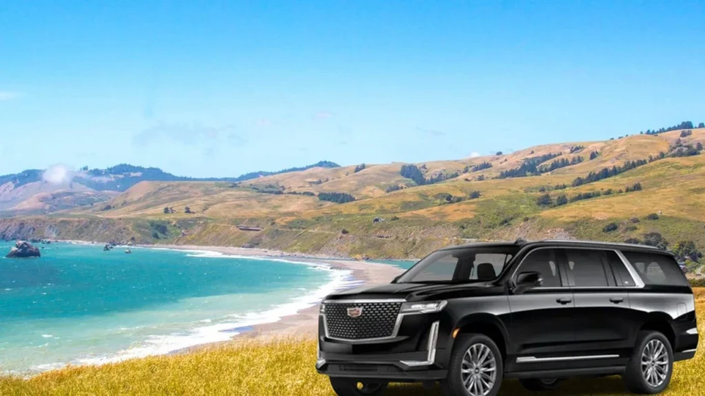 Town Car Service Sonoma, CA 8 Sonoma Coast State Park