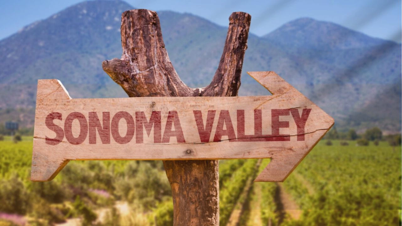 Town Car Service Sonoma, CA 1 Sonoma Valley