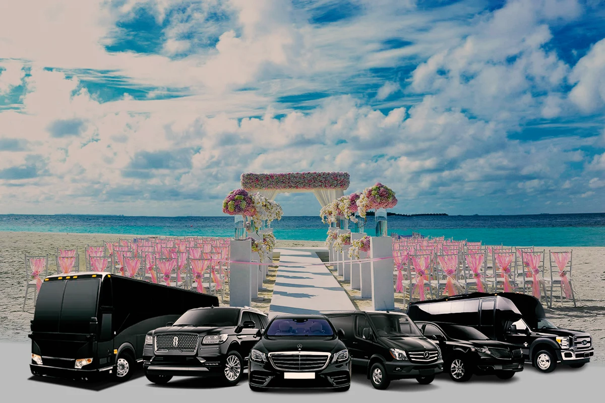 Our Luxury Fleet — The Right Vehicle for Every Occasion